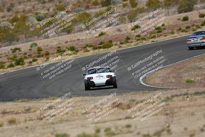 media/May-03-2025-Lucky Dog Racing (Sat) [[206de64b9d]]/Turn 2 (1020am-1120am)/